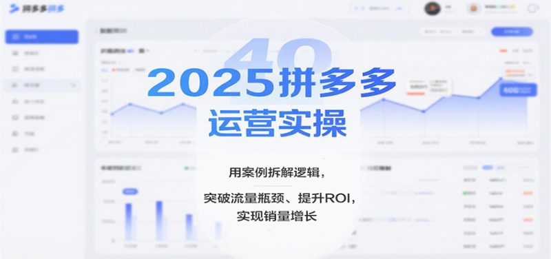 2025拼多多运营实操,用案例拆解逻辑,突破流量瓶颈、提升ROI,实现销量增长_免费分享网络创业,副业,信息差项目的老牌资源整合平台!金铲子项目