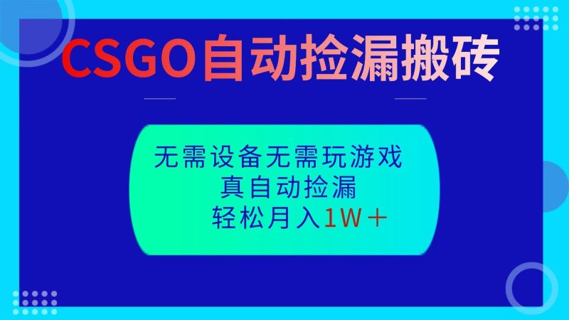 CSGO自动捡漏搬砖，操作见结果，无需了解游戏，包教包会包落地_免费分享网络创业,副业,信息差项目的老牌资源整合平台！金铲子项目