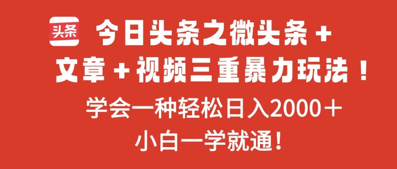 (16556期)今日头条之微头条文章视频三重暴力玩法,学会一种0,…_免费分享网络创业,副业,信息差项目的老牌资源整合平台!金铲子项目