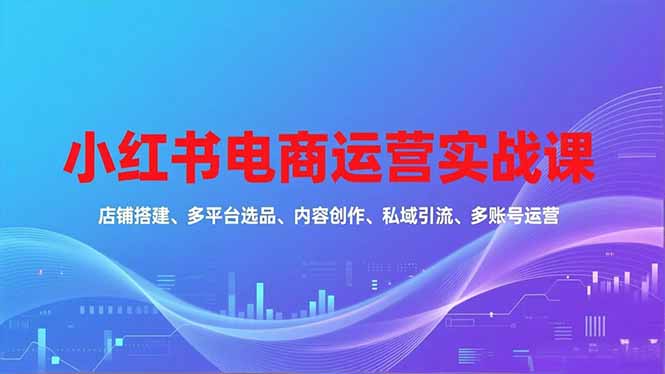 （16695期）小红书电商运营实战课，店铺搭建、多平台选品、内容创作、私域引流、多账号运营等玩法_免费分享网络创业,副业,信息差项目的老牌资源整合平台！金铲子项目