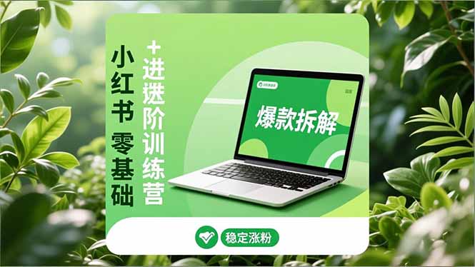 (16801期)小红书零基础高阶训练营:安全养号、爆款拆解、长效运营,实现稳定涨粉与_免费分享网络创业,副业,信息差项目的老牌资源整合平台!金铲子项目