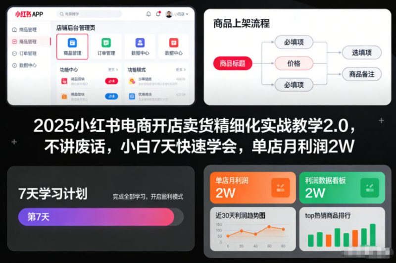 2025小红书电商开店卖货精细化实战教学2.0,不讲废话,小白7天快速学会,单店月利润_免费分享网络创业,副业,信息差项目的老牌资源整合平台!金铲子项目