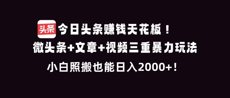 （16888期）今日头条赚钱天花板！微头条+文章+视频三重暴利玩法，小白照搬也能日人2000+_免费分享网络创业,副业,信息差项目的老牌资源整合平台！金铲子项目