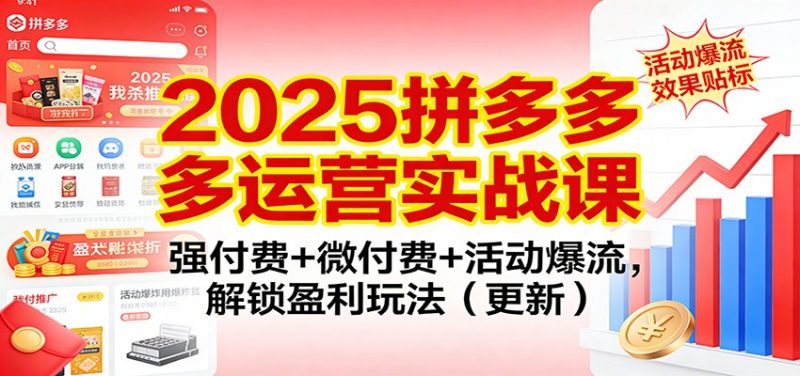 2025拼多多运营实战课:强付费+微付费+活动爆流,解锁盈利玩法(更新)_免费分享网络创业,副业,信息差项目的老牌资源整合平台!金铲子项目