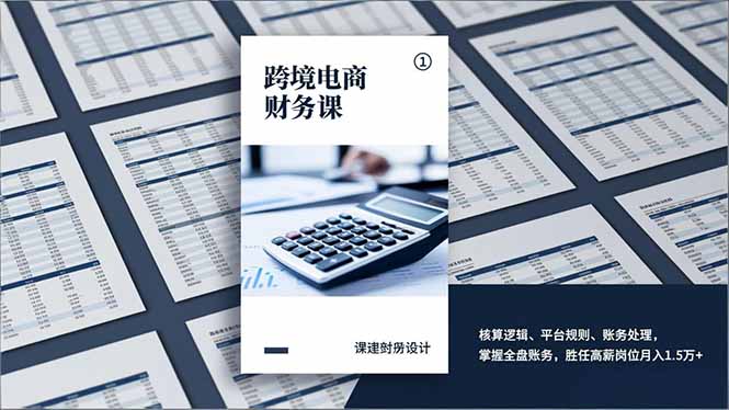 (17036期)跨境电商财务课,核算逻辑、平台规则、账务处理,掌握全盘账务,胜任高薪岗位1.5万_免费分享网络创业,副业,信息差项目的老牌资源整合平台!金铲子项目