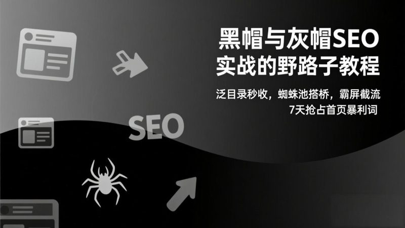（17125期）黑帽与灰帽SEO实战的野路子教程：泛目录秒收，蜘蛛池搭桥，霸屏截流，7天抢占首页暴利词_免费分享网络创业,副业,信息差项目的老牌资源整合平台！金铲子项目