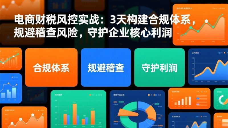 （17197期）电商财税风控实战：3天构建合规体系，规避稽查风险，守护企业核心利润_免费分享网络创业,副业,信息差项目的老牌资源整合平台！金铲子项目