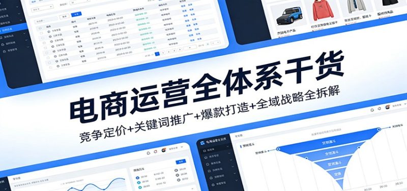 电商运营全体系干货，竞争定价+关键词推广+爆款打造+全域战略全拆解_免费分享网络创业,副业,信息差项目的老牌资源整合平台！金铲子项目