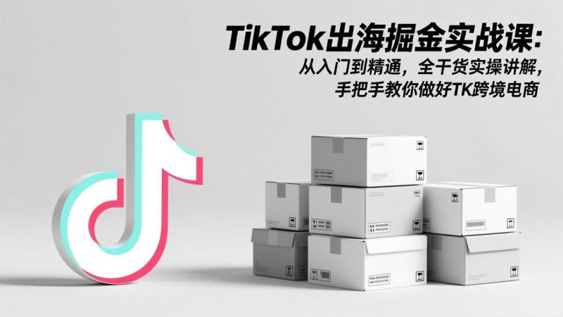 （17368期）TikTok出海掘金实战课：从入门到精通，全干货实操讲解，手把手教你做好TK跨境电商_免费分享网络创业,副业,信息差项目的老牌资源整合平台！金铲子项目