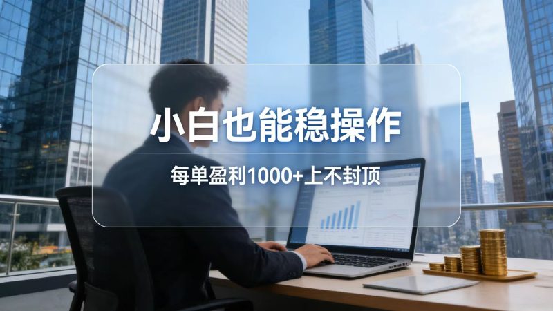 （17508期）2026新项目，小白也能稳操作，每单盈利上不封顶_免费分享网络创业,副业,信息差项目的老牌资源整合平台！金铲子项目