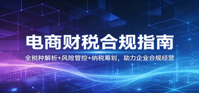 电商财税合规指南：全税种解析+风险管控+纳税筹划，助力企业合规经营_免费分享网络创业,副业,信息差项目的老牌资源整合平台！金铲子项目