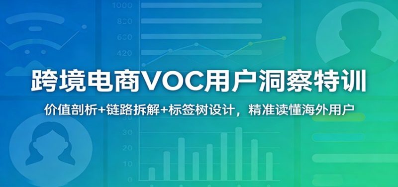 跨境电商VOC用户洞察特训：价值剖析+链路拆解+标签树设计，精准读懂海外用户_免费分享网络创业,副业,信息差项目的老牌资源整合平台！金铲子项目